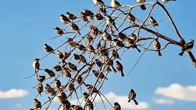 Sizce " kötü insan " tanımı nedir?