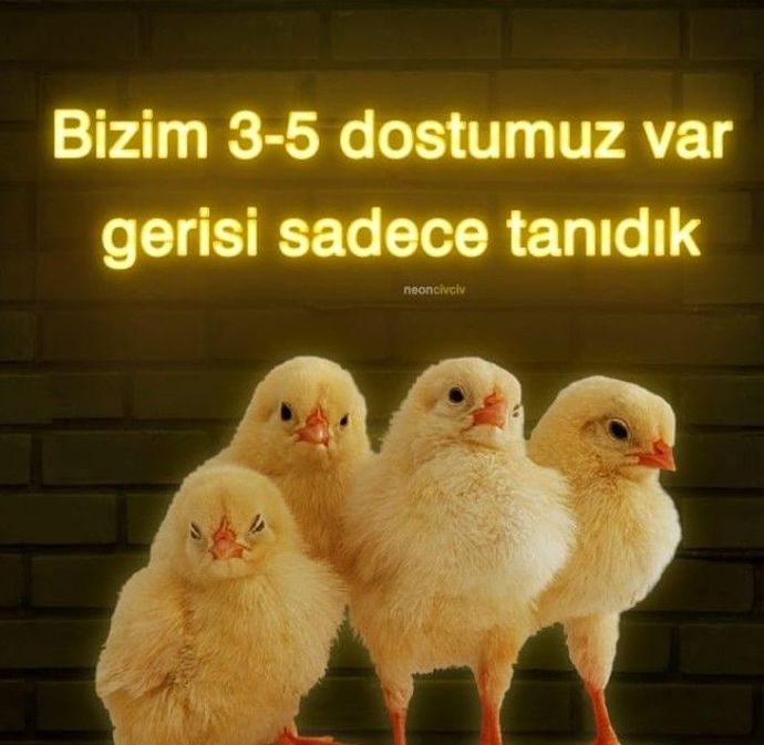 Karşı cinsle mi daha kolay arkadaş oluyorsunuz yoksa hemcinsinizle mi?