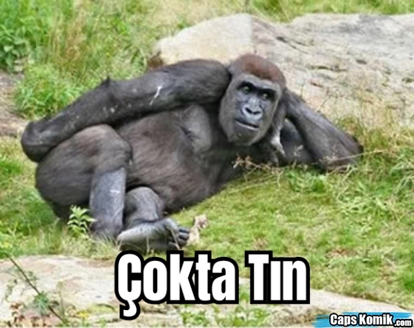 Sevdiğiniz biri tarafından önemsenmemek sizi nasıl etkiler?