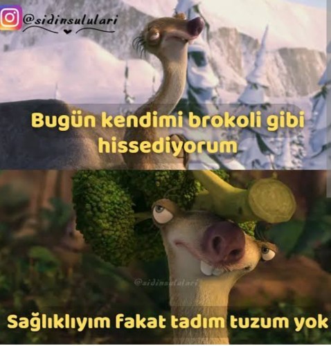 Brokoli yemeyen erkekten olur mu?