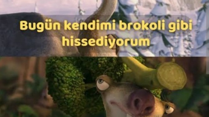 Brokoli yemeyen erkekten olur mu?