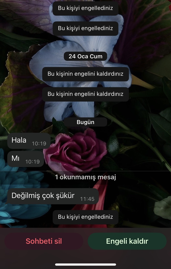 Neden hep geri dönerler ki 🙃?