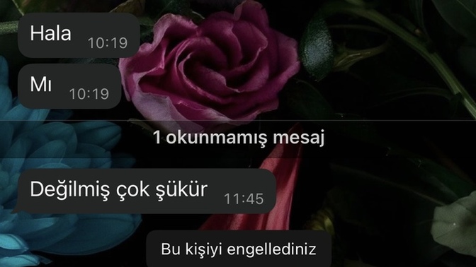 Neden hep geri dönerler ki 🙃?