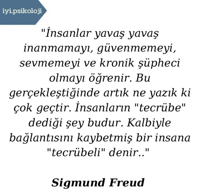 Siz Tecrübeli birisi misiniz?