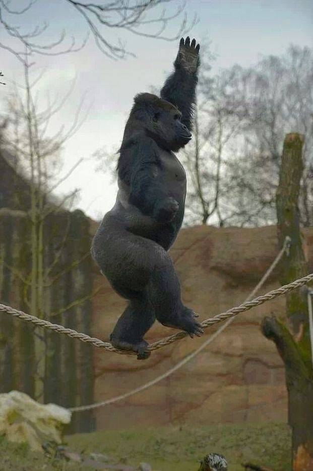 Bu şehir kızları da başka türlü cilveli oluyor canım öyle değil mi 😂?