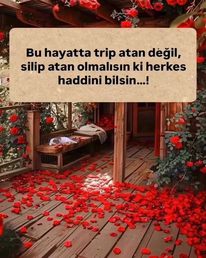 Trip atan mı silip atanmısın?