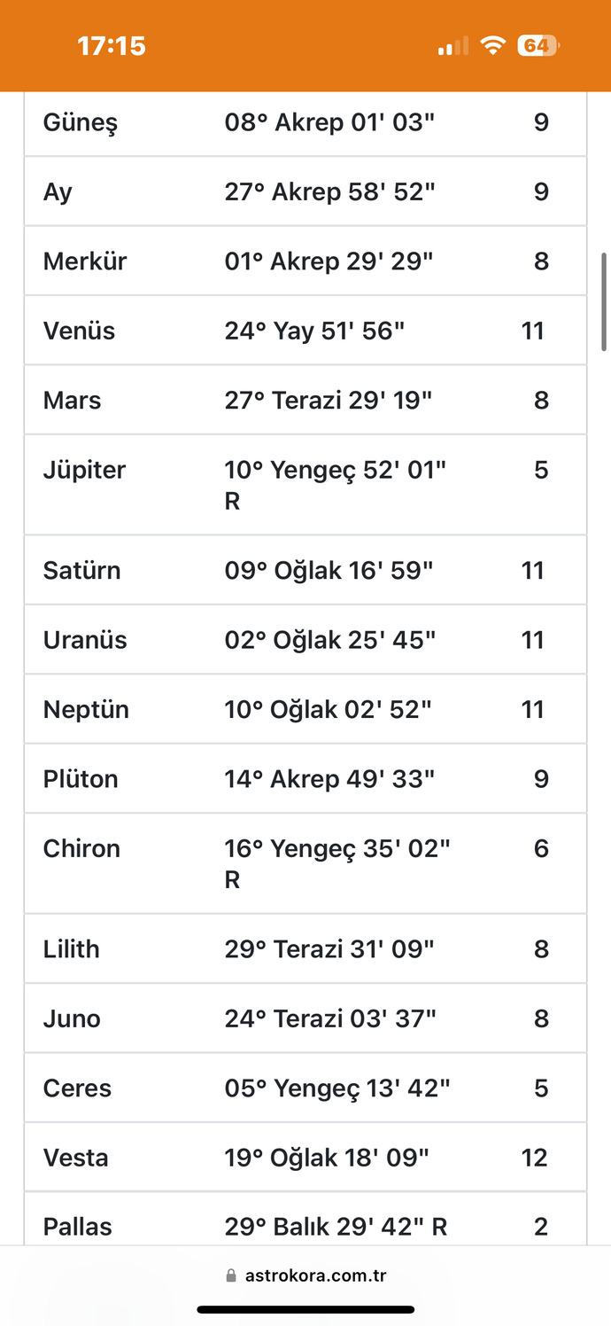Astrolojiden anlayanlar bakar mısınız?