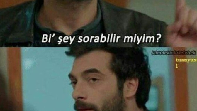 Hangi hayvanla konuşabilmek isterdin ve ona ilk ne sorardin?