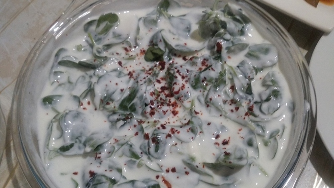 Sofranızda en çok hangi salata çeşitlerini bulundurursunuz?
