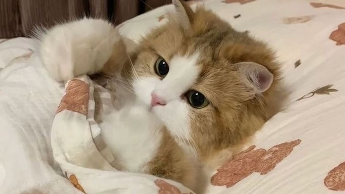 Aynı kişiye defalarca kırılıp seviyorsan, bu aşk mı yoksa alışkanlık mı?