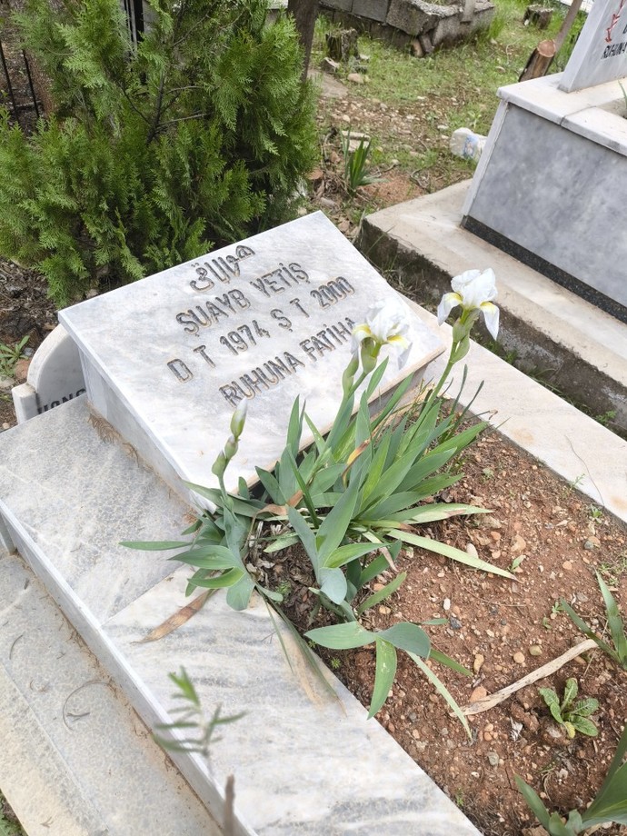 Kabir, mezar ziyareti yapar mısınız?
