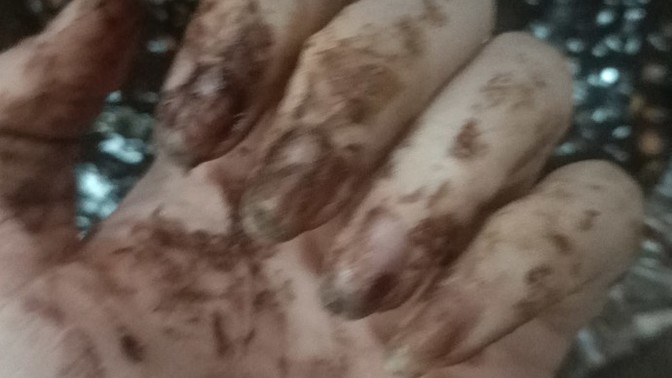 Yemek yaparken hijyenik şartlar oluşturur musunuz?