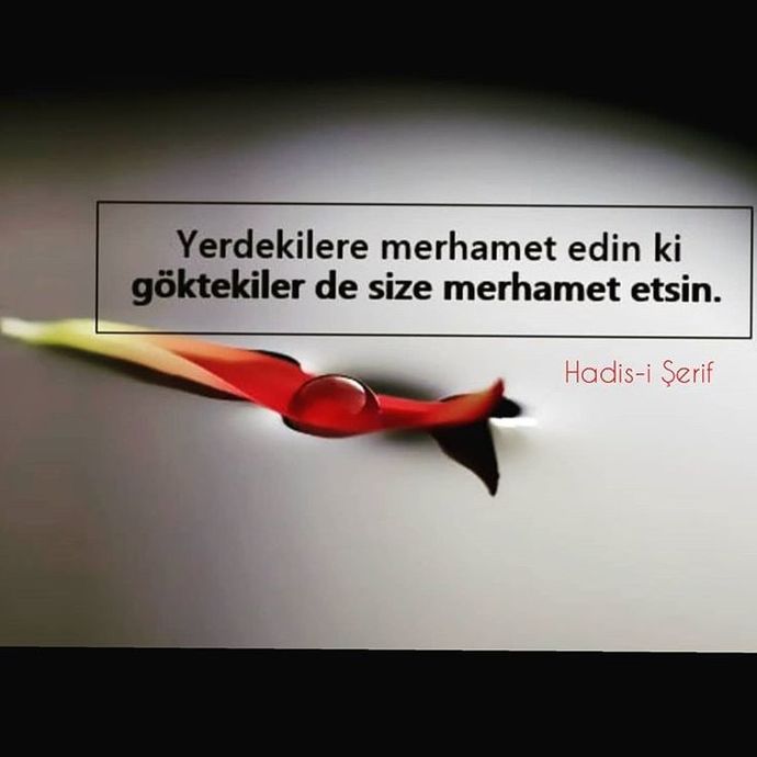 Merhametli ve düşünceli olabilir misin?