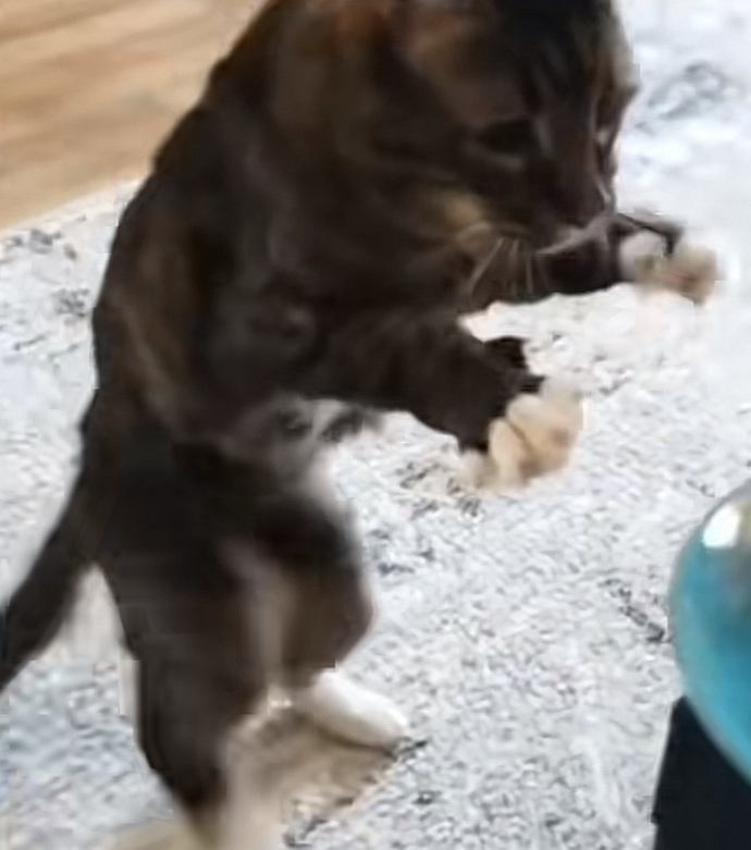 Aşkın tadı neye benzer?