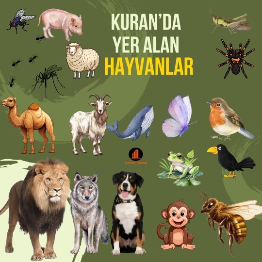 Kıtmîri biliyor musunuz?
