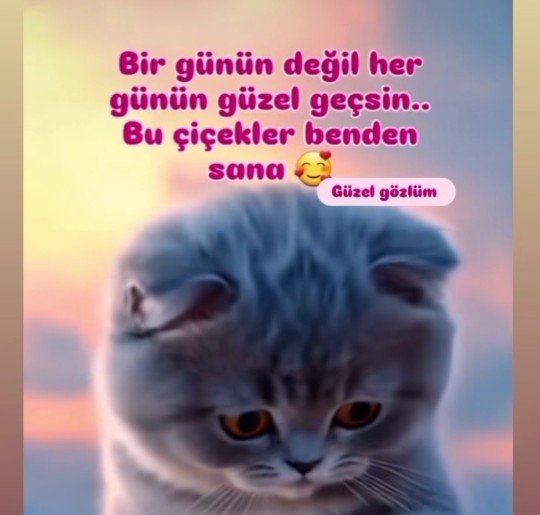 Siz güne bugün nasıl başladınız?