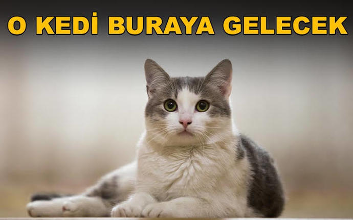 O adam buraya gelecek?