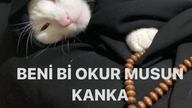 Bana bi okur musunuz?