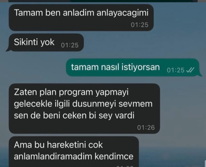 Burada ne demek istemiş?