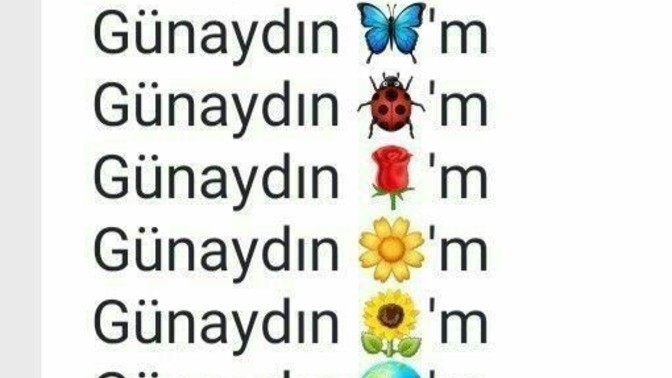 Sabah sabah sevdiğiniz kişi günaydın mesajı atınca günaydının yanına ne eklesin istersiniz?