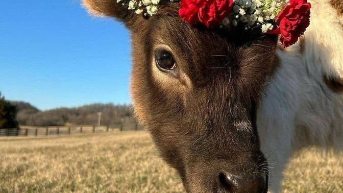 Doğru kişi nasıl bulunuyor?