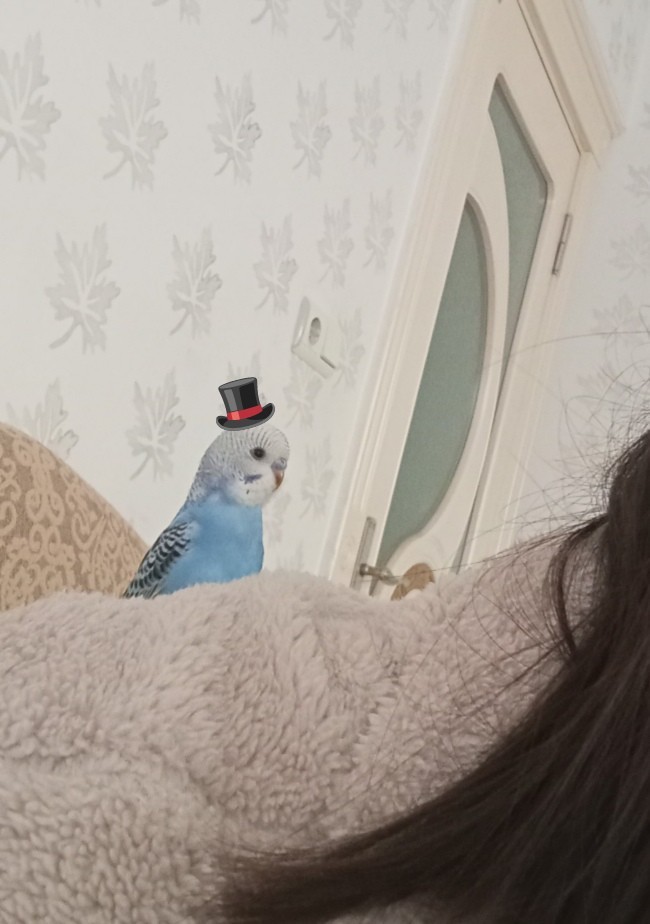🐦Oğluma Kız Arıyorum🐦 nsjjdjbdd?