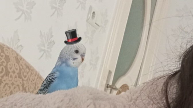 🐦Oğluma Kız Arıyorum🐦 nsjjdjbdd?