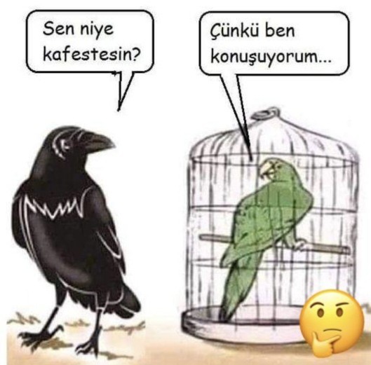 Kedinizi savunamaz hep susar mısınız?