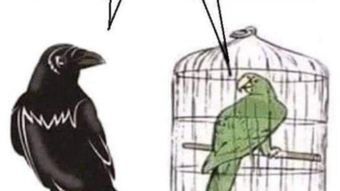 Kedinizi savunamaz hep susar mısınız?