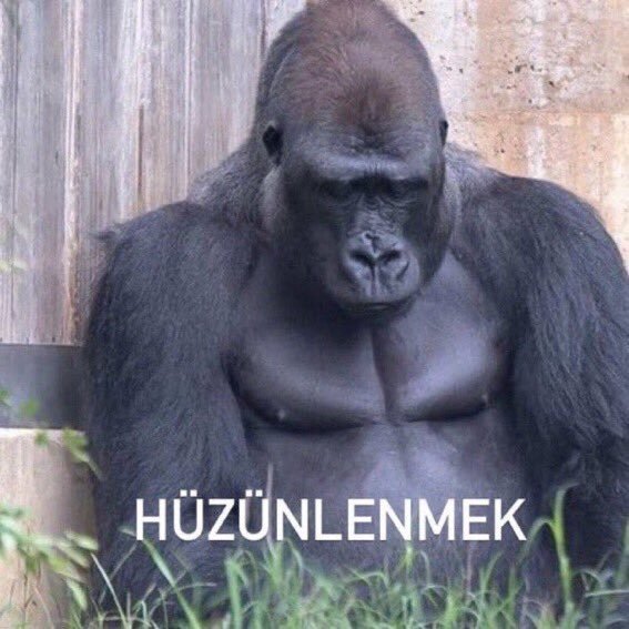 Aşık olurken nefretle baktınız mı?
