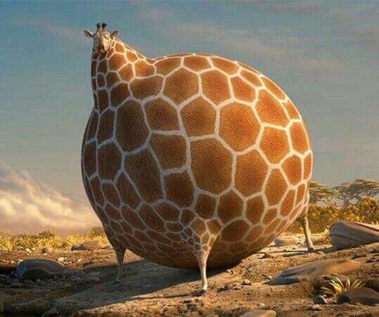 Ailede kanser öyküsü varsa bizim de kanser olma ihtimalimiz var mı?