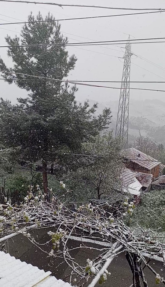 Yaşadığınız şehirde havalar nasıll?