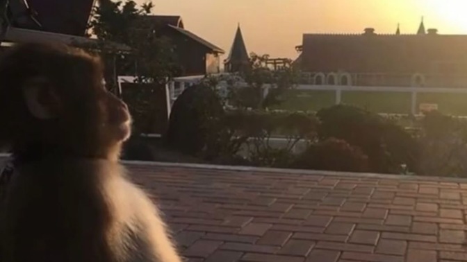 Her defa hata yapan bir insanı affedilebilir misiniz?