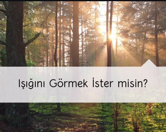 Işığını görmek ister misin?