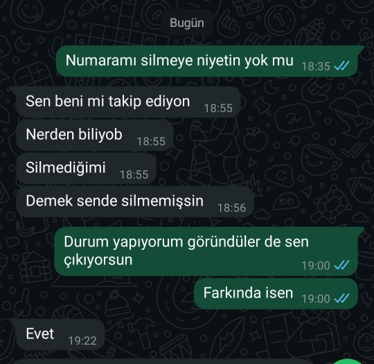 Bu kız niye numaramı silmiyor?
