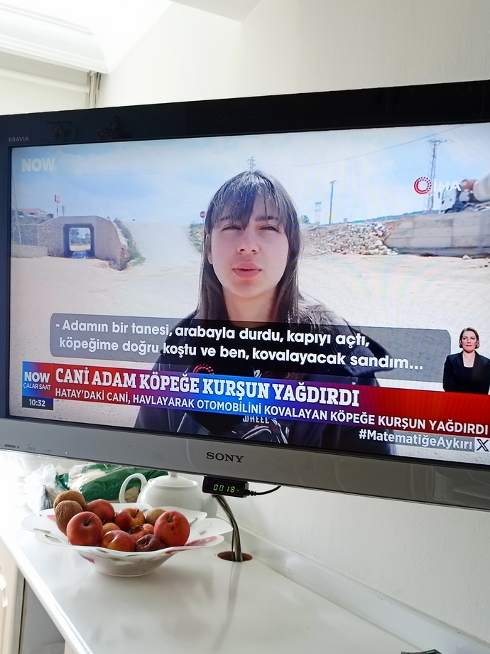 Hayvan katliamları bitmek bilmiyor aramızda caniler kol geziyor çıkan yasadan memnun olan var mı?