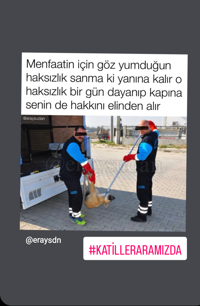Hayvan katliamları bitmek bilmiyor aramızda caniler kol geziyor çıkan yasadan memnun olan var mı?