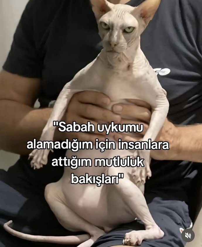 #nirhamm 🔴 🔴 🔴 🔴