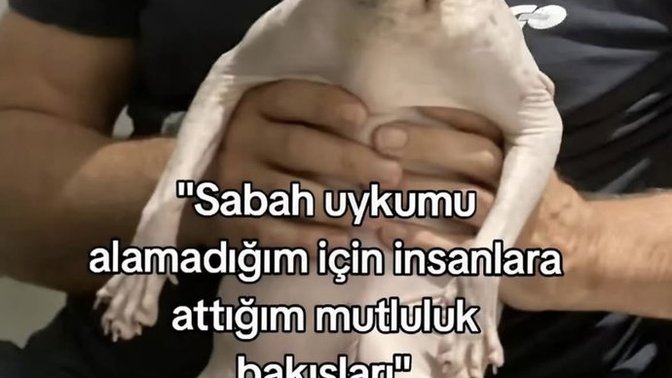 Uykunuzu aldınız mı ne yapıyorsunuz?