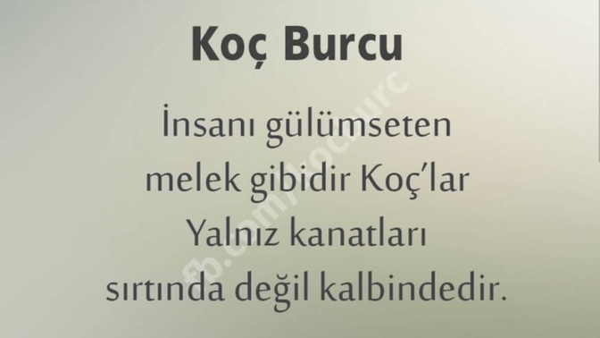 Koç burcunu nasıl bilirsinizz?