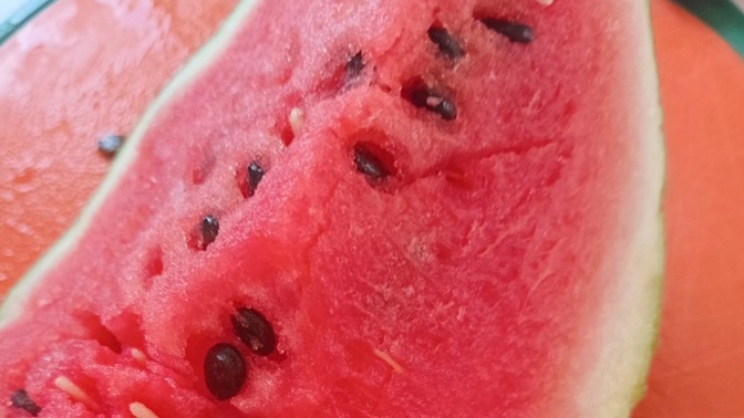 Mandalina sezonunu kapattınız mı?
