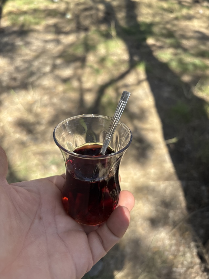 Pikniğe giderken doğal halinizle mi gidersiniz makyajlı halinizle mi?