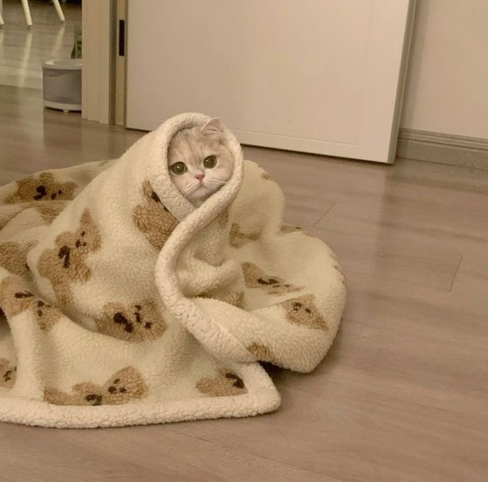 Yeni bir insanla tanışmak, size hala heyecan veriyor mu?