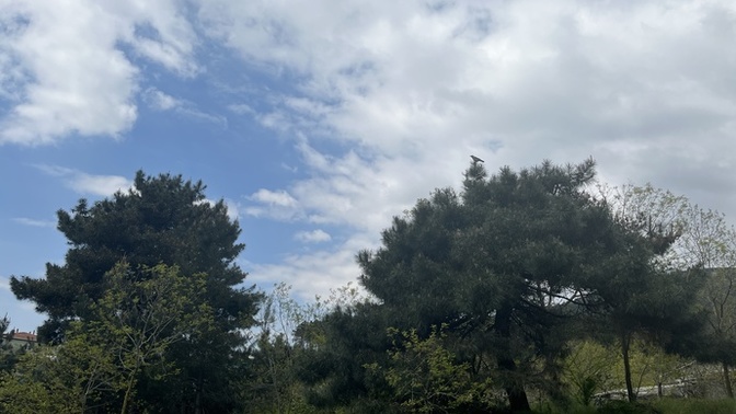 Bu soğukta gezmeye gidilir mi? Sizce dışarı çıksam donar mıyım 🙄?