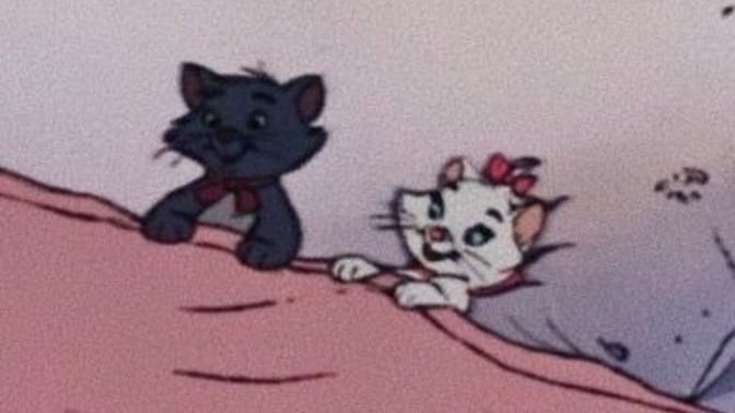 Sizinle aşk yaşama ihtimalimiz % kaç olurdu söyleyeyim mi?