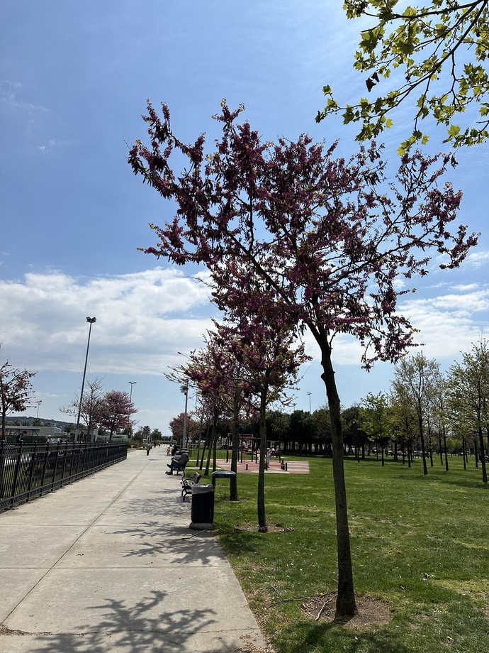 Ne yaparken özgür hissediyorsun?