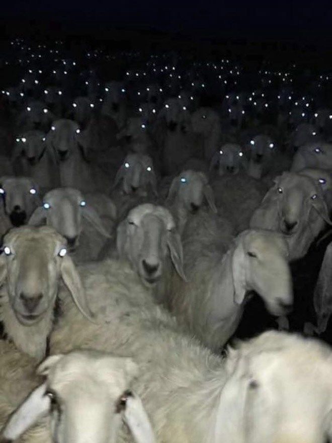Benim niye sevgilim yuook?