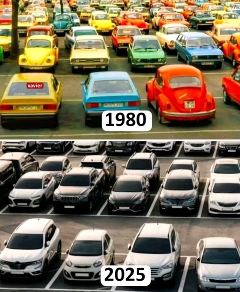 Neyi fark ettiniz?