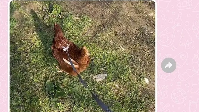 Ayrılık bahanesi olur mu?
