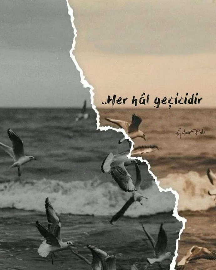 ℕeden 𝔹u 𝕂adar 𝕂ayıbım?